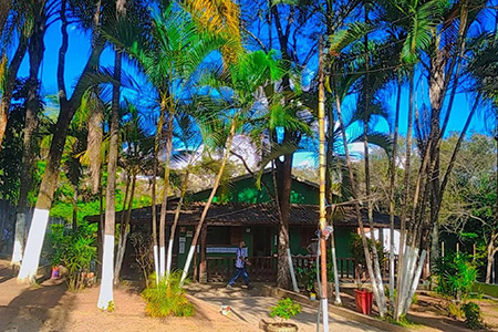 Instituto Mãos Q Salvam