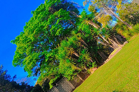 Instituto Mãos Q Salvam