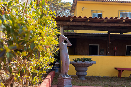 Instituto Mãos Q Salvam