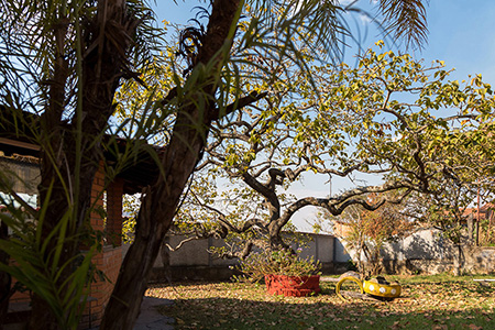 Instituto Mãos Q Salvam