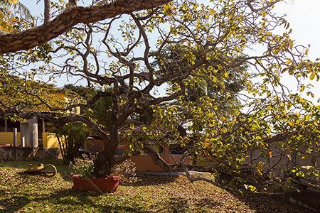 Instituto Mãos Q Salvam