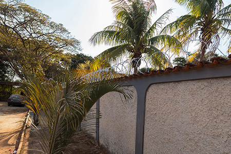 Instituto Mãos Q Salvam