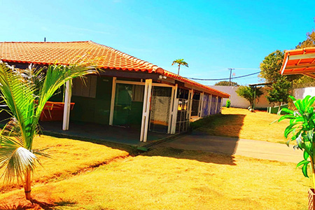 Instituto Mãos Q Salvam