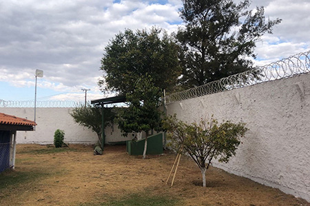 Instituto Mãos Q Salvam