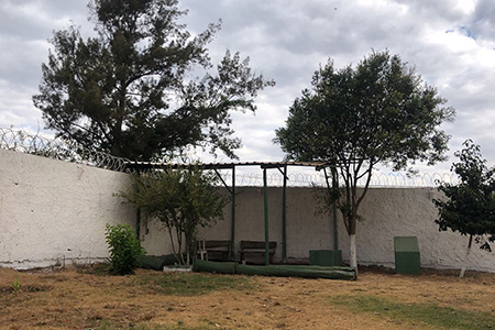 Instituto Mãos Q Salvam